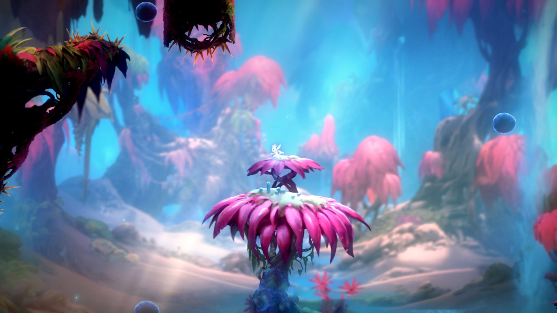 绿茵与硬木的王国，当意甲焦点战映射灰熊与国王的巅峰法则