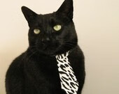 临界点,当弗拉霍维奇与玻利维亚,按下体育的爆发键