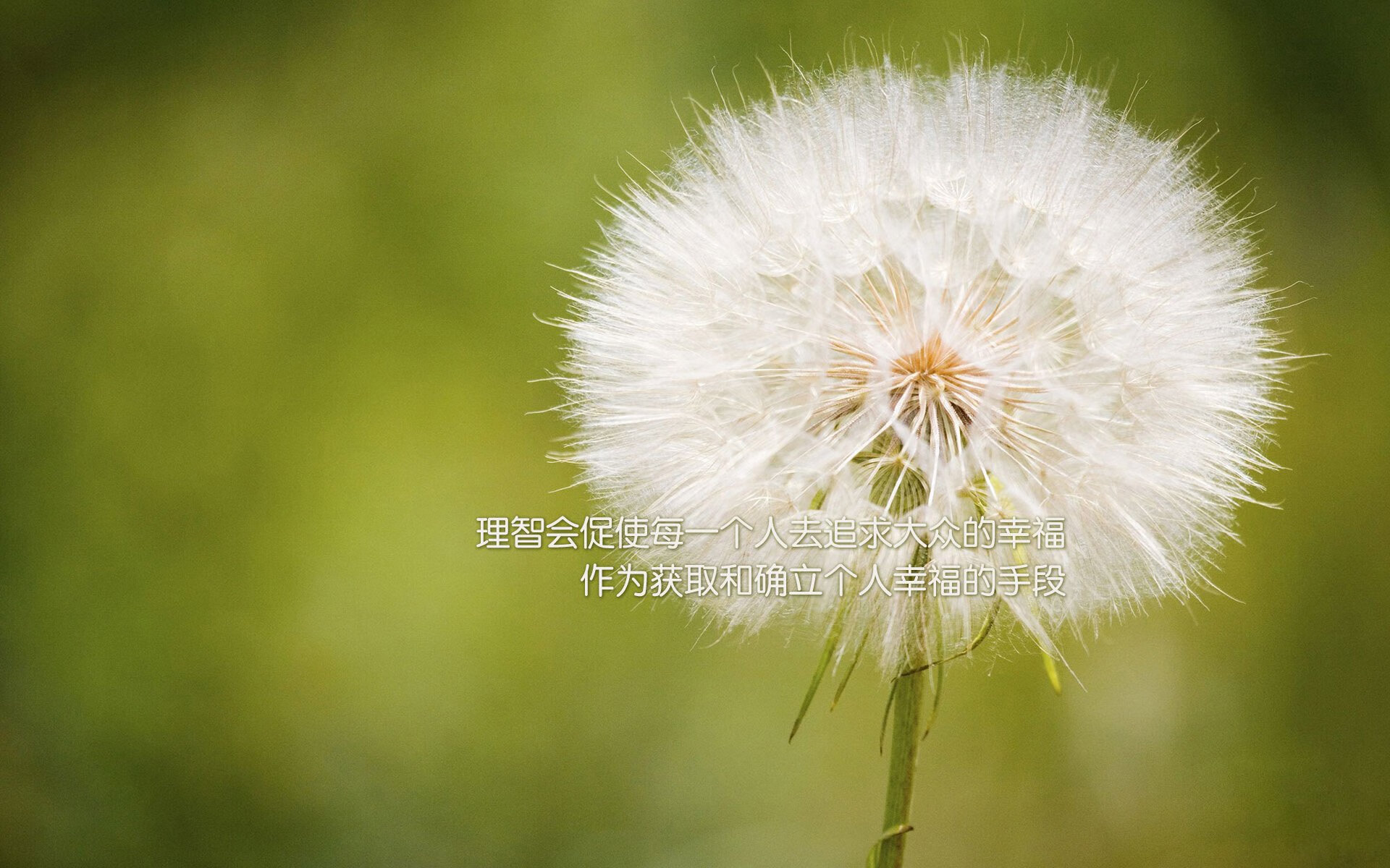 从盾到矛的裂变,国家德比之夜,坎特如何以进攻撕裂宇宙