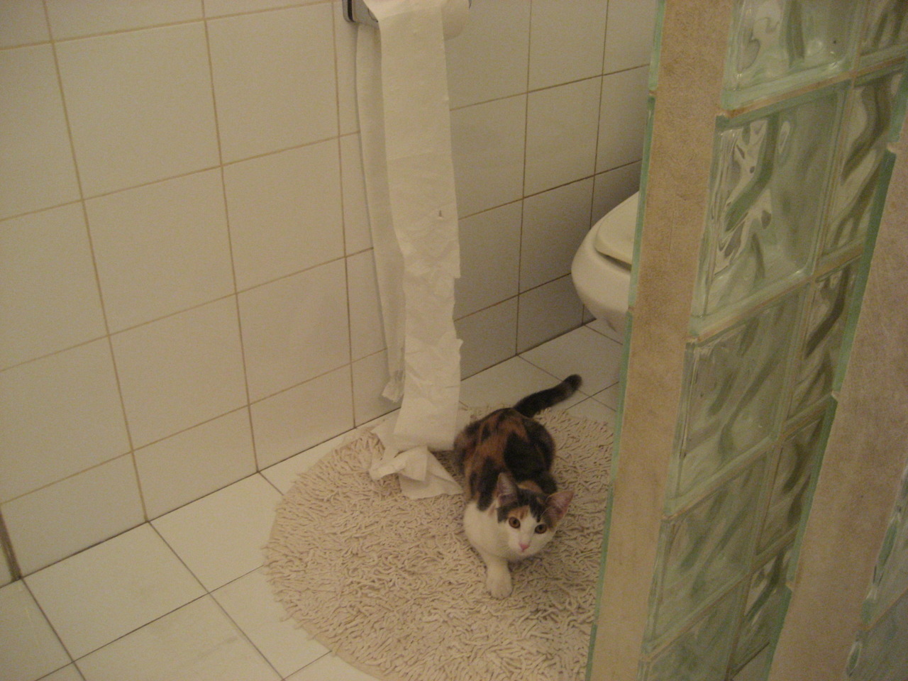 冰火淬炼，布雷默临场爆发，芬兰雪崩式战术正面击溃卡塔尔