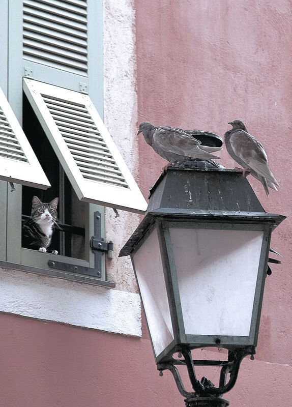 一人成军，当独行侠保罗用高能输出，碾过广东的钢铁洪流