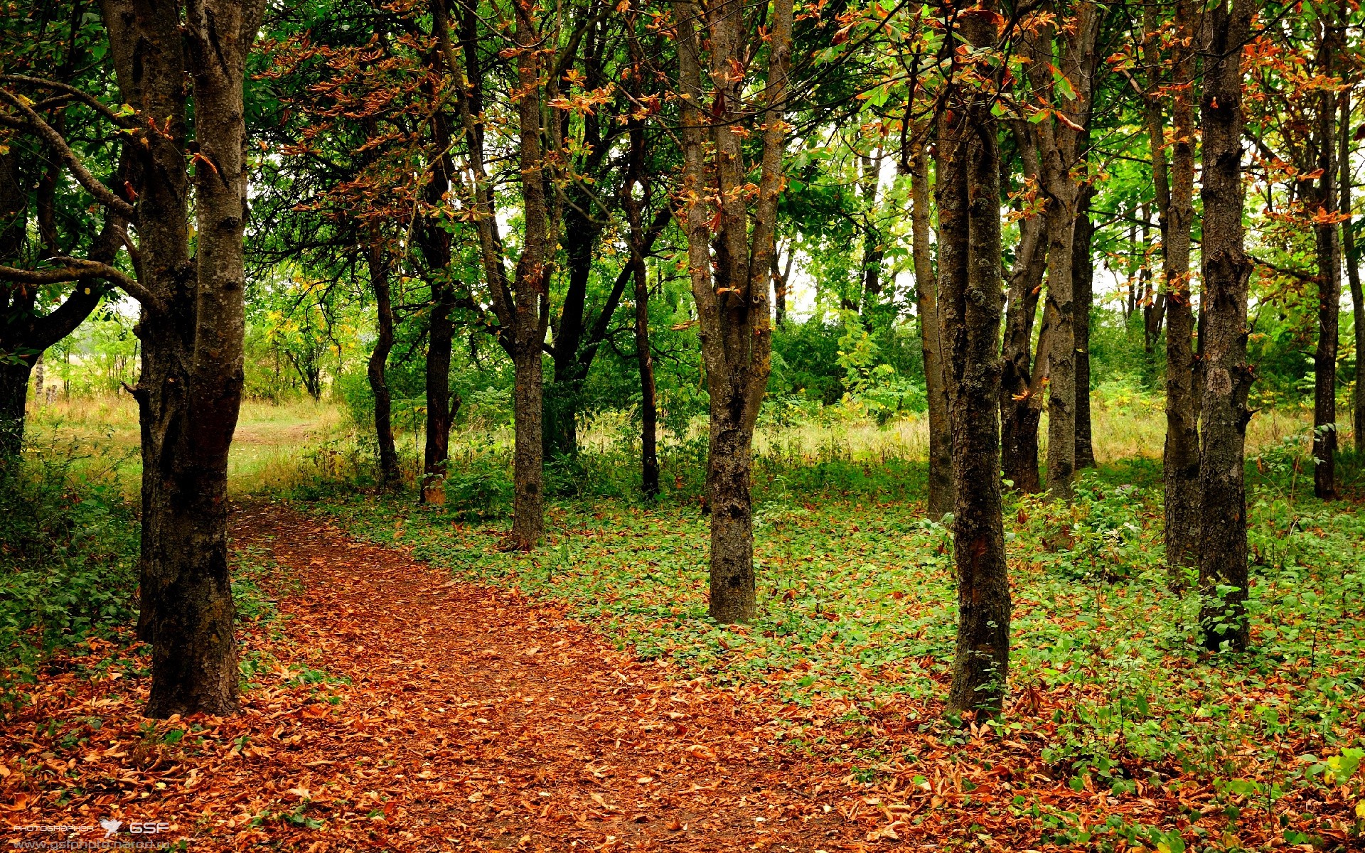 欧冠前夜的密探，孙兴慜皮斯胡安观战记与爆冷启示录
