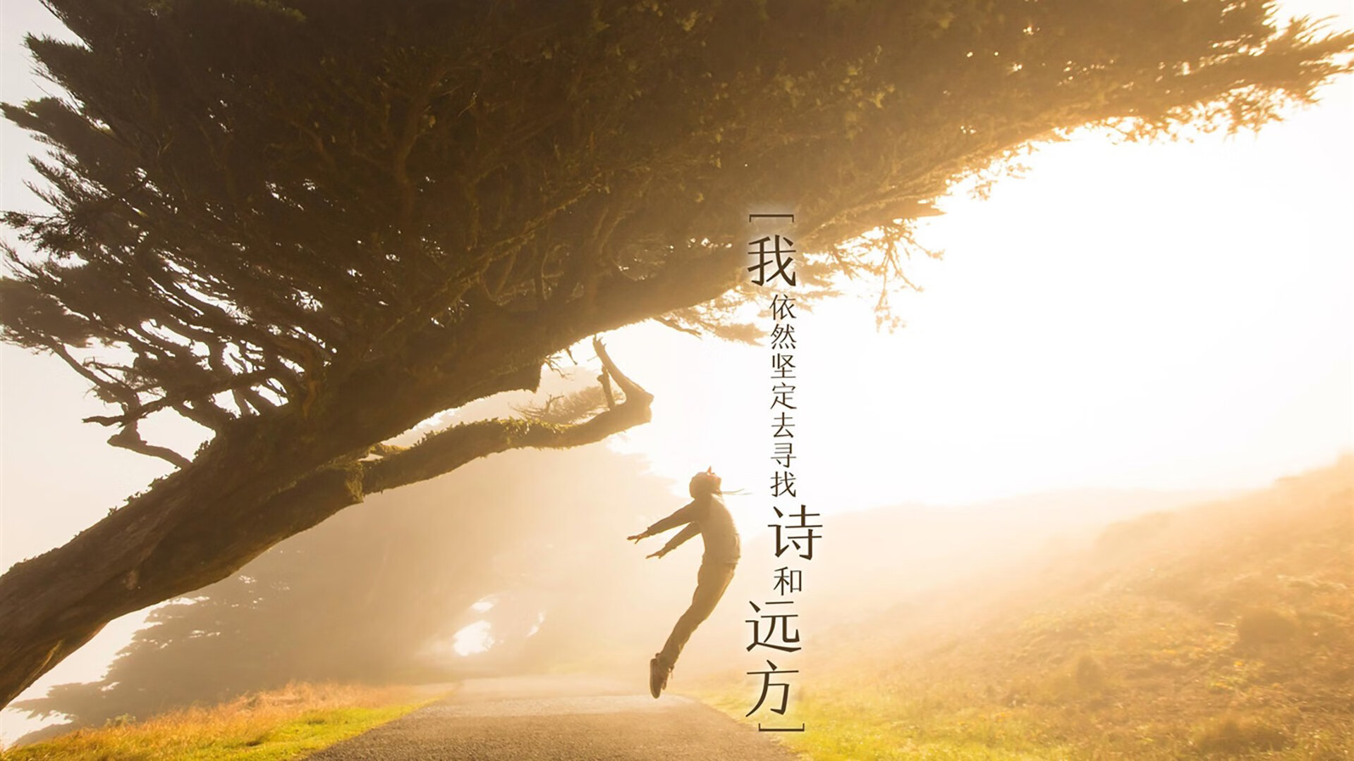 宿命翻转,当努涅斯的致命一击撕碎巴西的桑巴幻想—2026世界杯B组丹麦如何以钢铁防线压制五星巴西,在进攻端完成历史性爆发